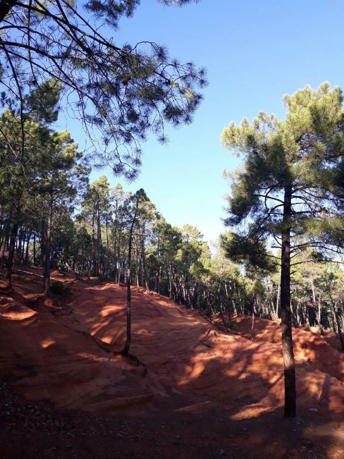 Chambres D Hotes En Provence Mormoiron Eksteriør billede